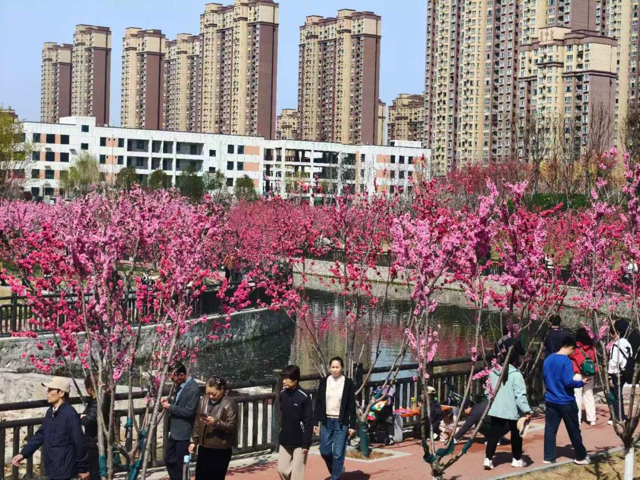 5326648500559726 5326648500559726