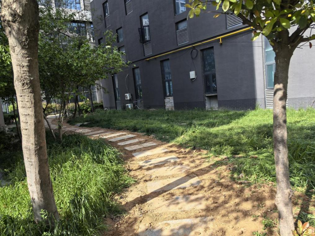 一处草坪、一条道路、一座花坛 ——龙王办事处安新庄村“五清四建”用“关键小事”托起群众“大幸福”一处草坪、一条道路、一座花坛 ——龙王办事处安新庄村“五清四建”用“关键小事”托起群众“大幸福”一处草坪