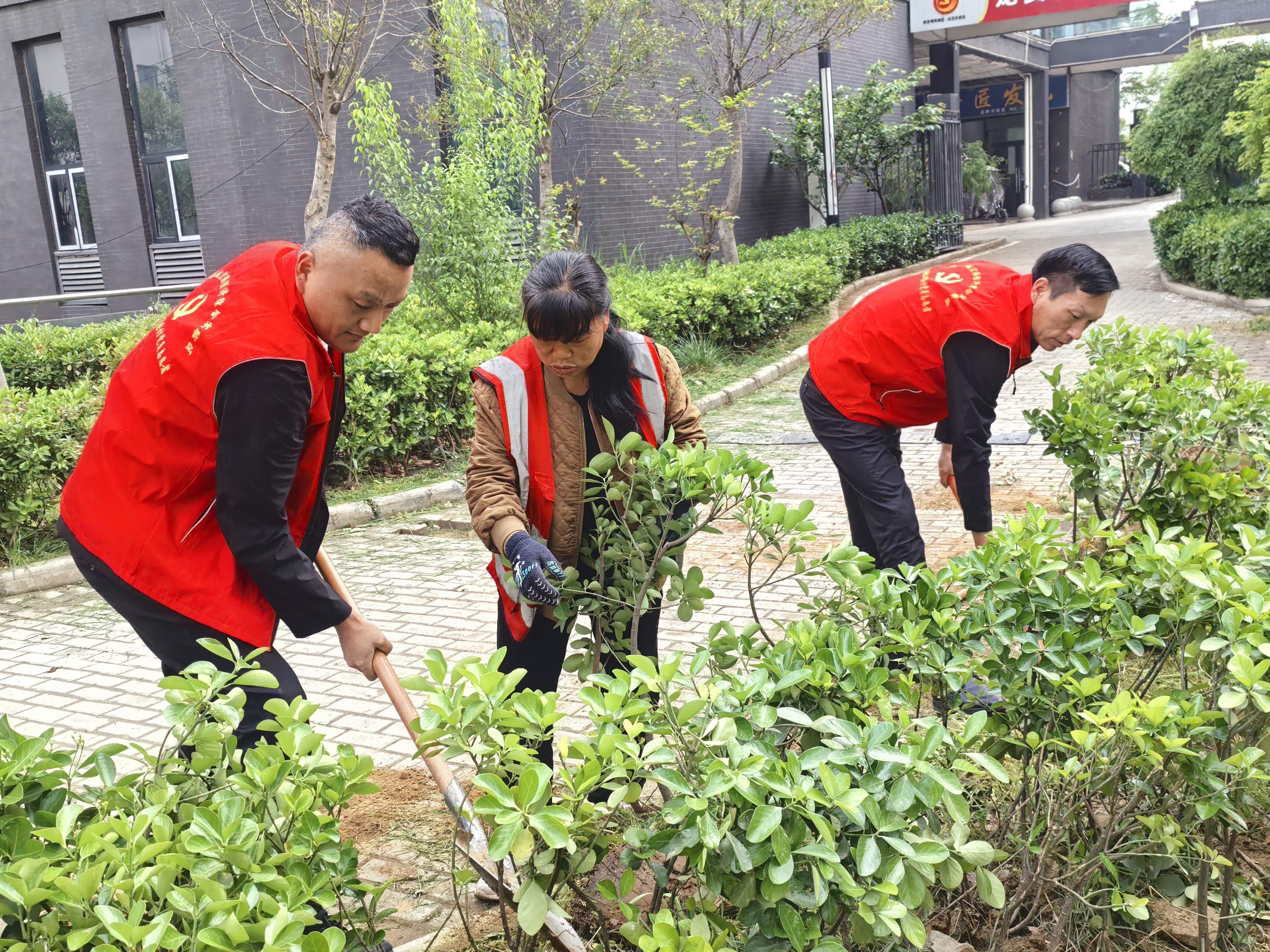  龙王办事处：整治人居环境 擦亮社区颜值