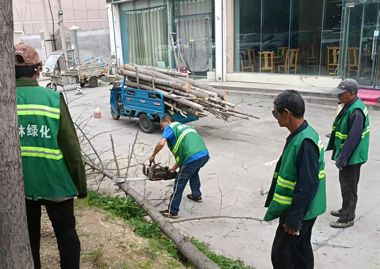 区城市管理局未雨绸缪筑牢防线扎实做好防汛备汛工作 区城市管理局未雨绸缪筑牢防线扎实做好防汛备汛工作