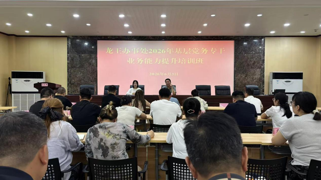 龙王办事处组织 党务干部业务能力提升培训