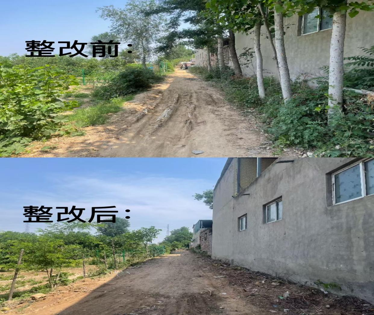 大马乡扎实开展“五清四建”专项行动 深耕细作清资产优环境