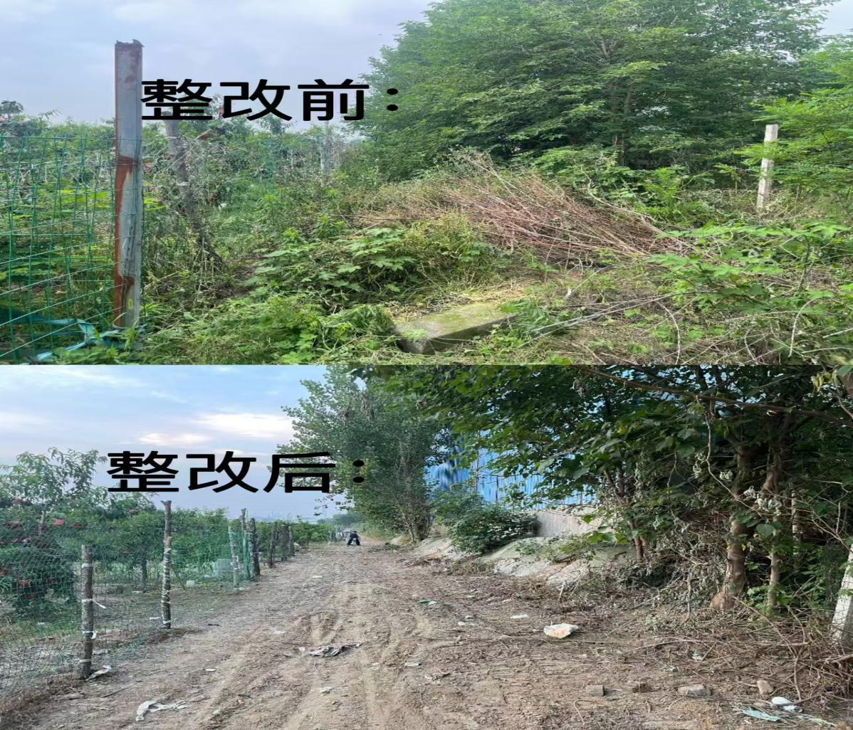 大马乡扎实开展“五清四建”专项行动 深耕细作清资产优环境