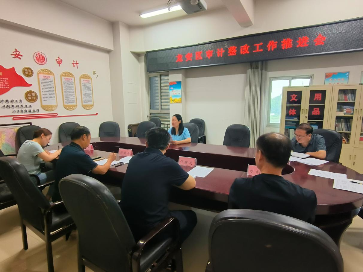 龙安区召开审计整改工作推进会 龙安区召开审计整改工作推进会