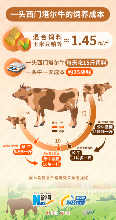 新華網(wǎng)財經(jīng)觀察丨肉牛養(yǎng)殖戶困局待解