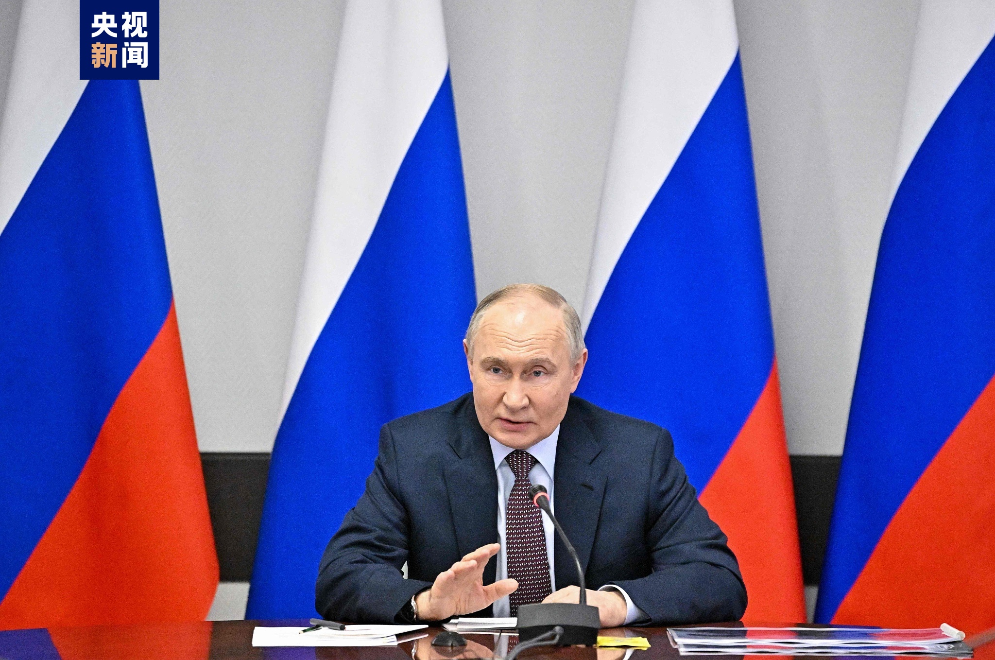 普京：俄罗斯进入全球四大经济体行列的目标已实现