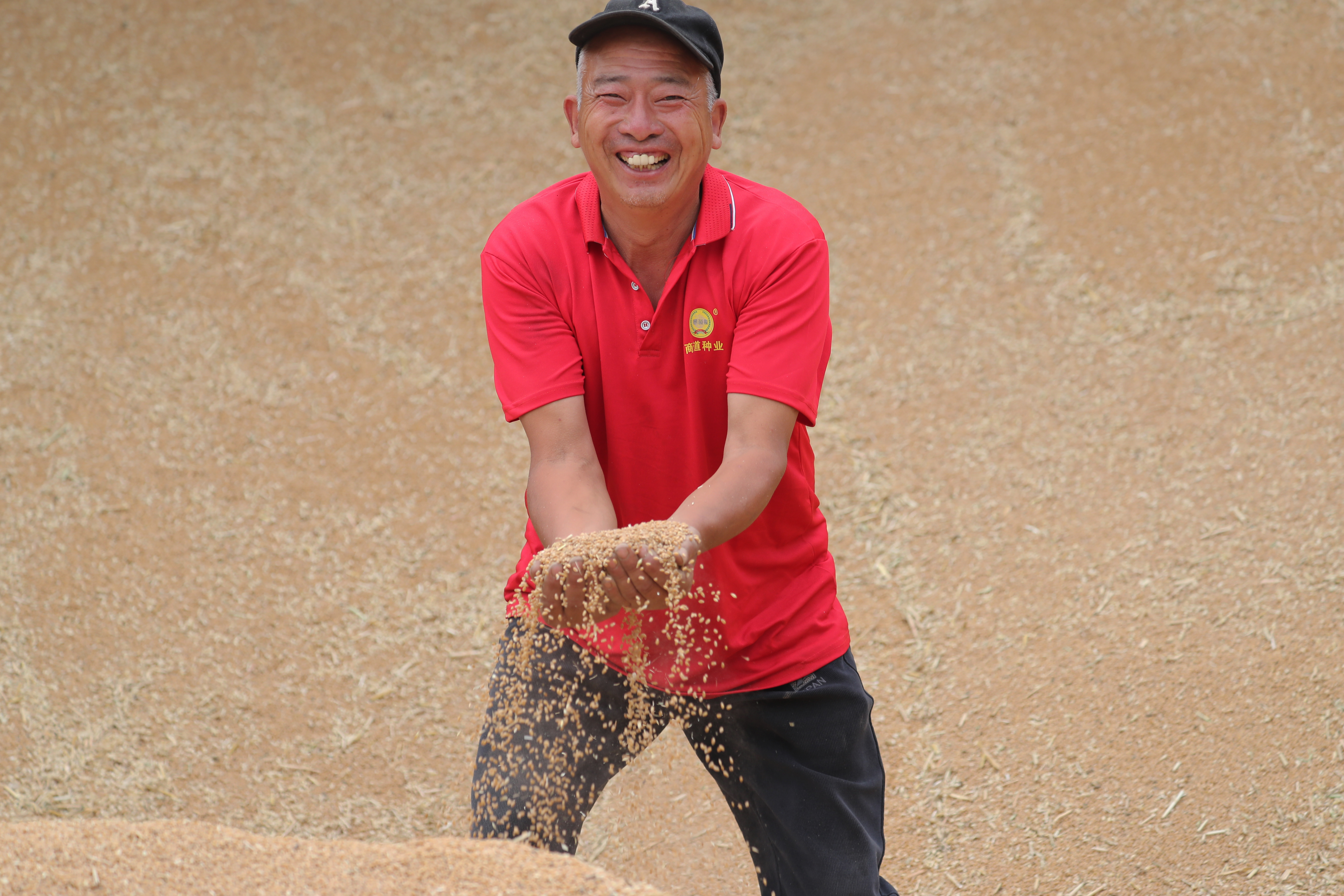 17、2024年6月3日，河南原阳李庄村农民娄柳坡流转的100亩小麦获丰收，幸福写满笑脸.jpg