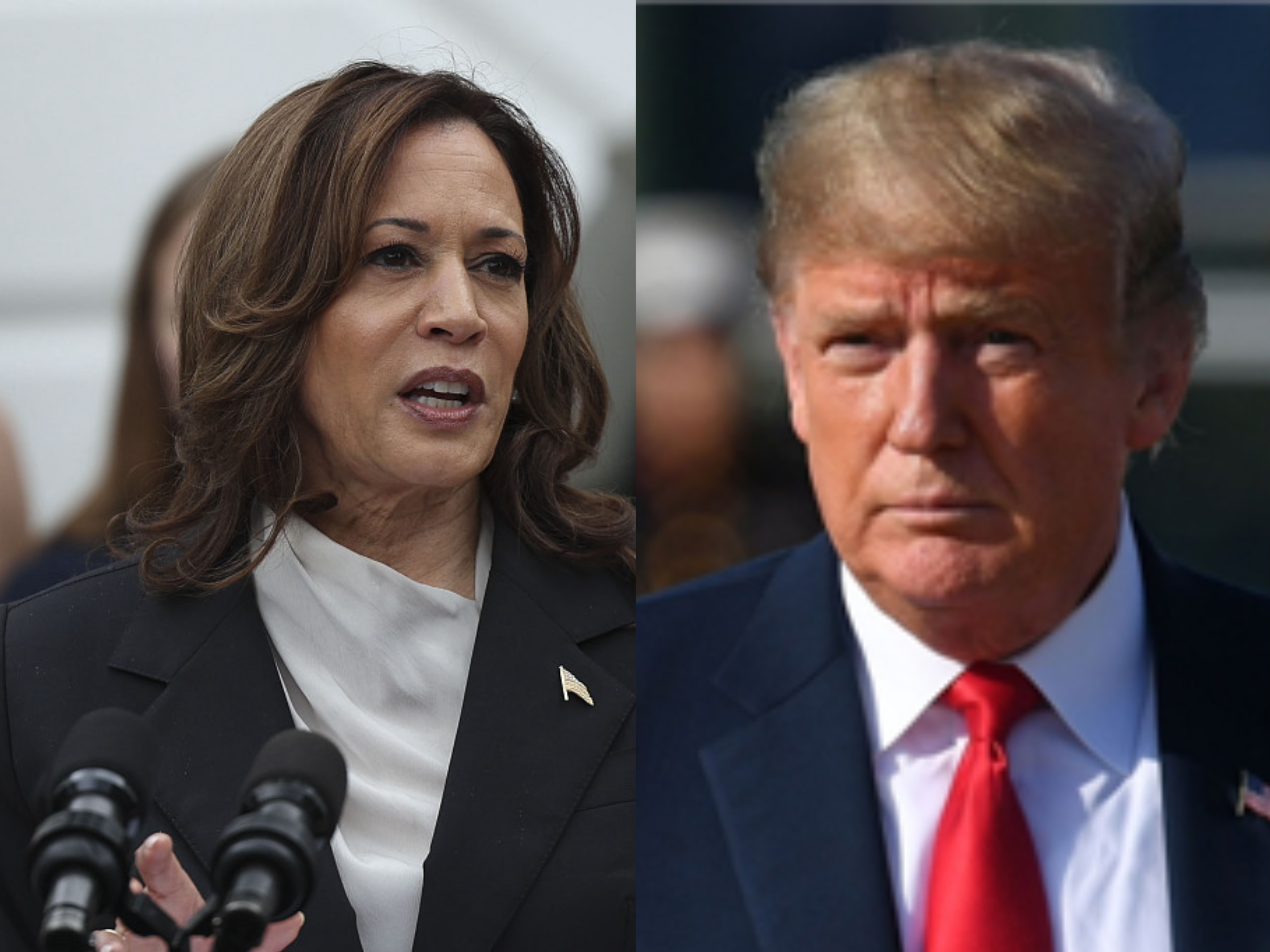 特朗普和哈里斯同意于9月10日进行辩论-手机大河网