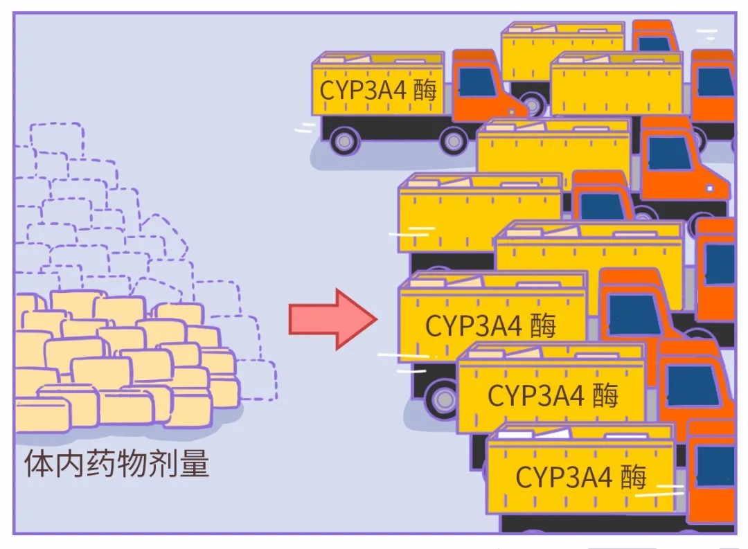 如果你在吃藥，就最好別吃這種水果