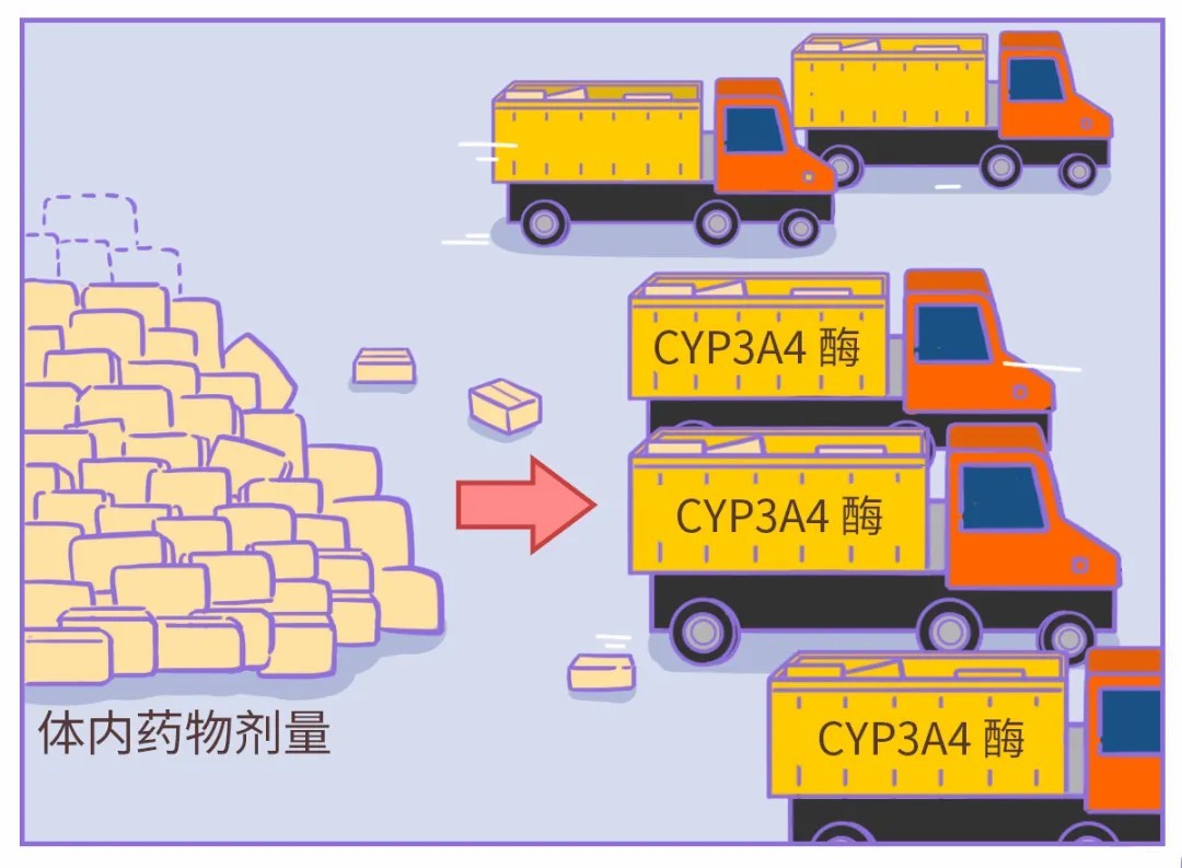 如果你在吃藥，就最好別吃這種水果