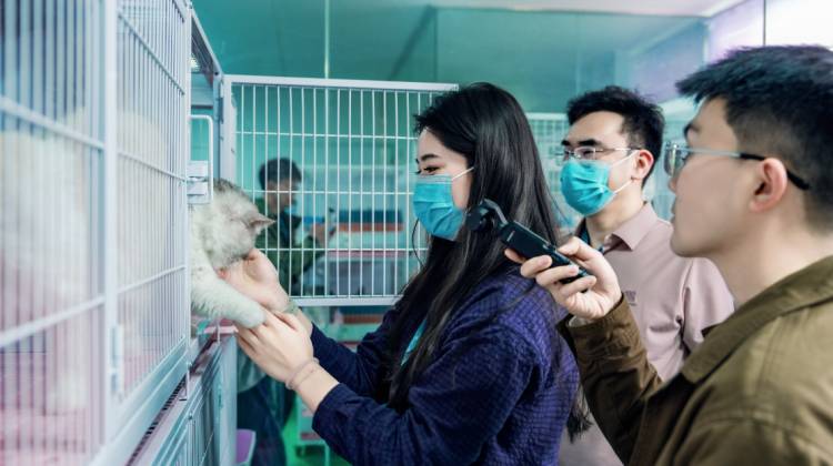 为啥漯河这家企业的“员工”只用干饭？