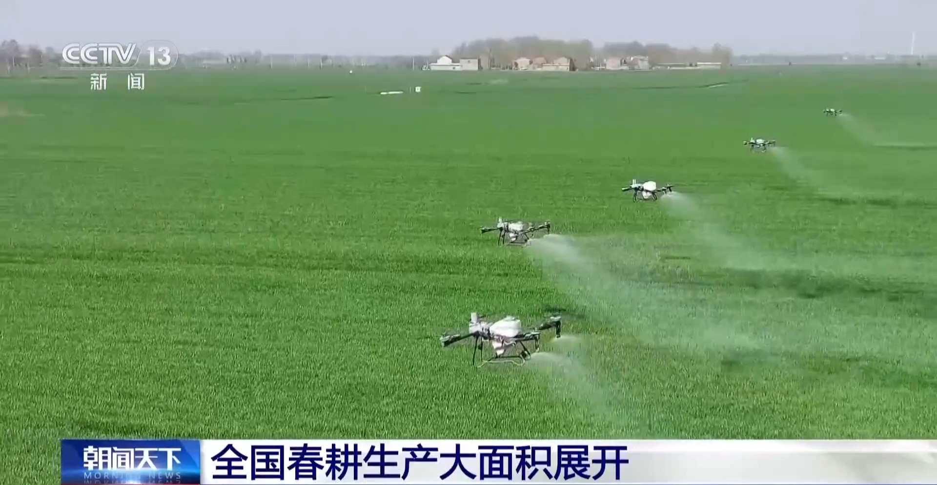 全国春耕春管进展顺利 早稻育秧基本结束