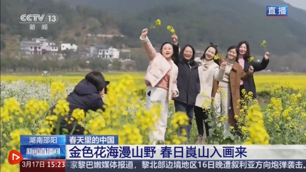 4412922240580853 花.png