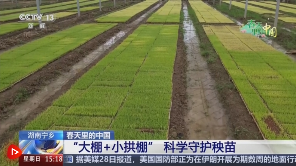 7119656685146028 ScreenShot_2026-03-30_101045_387.png