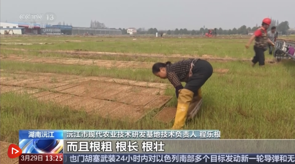 4245495570397293 ScreenShot_2026-03-30_101057_155.png