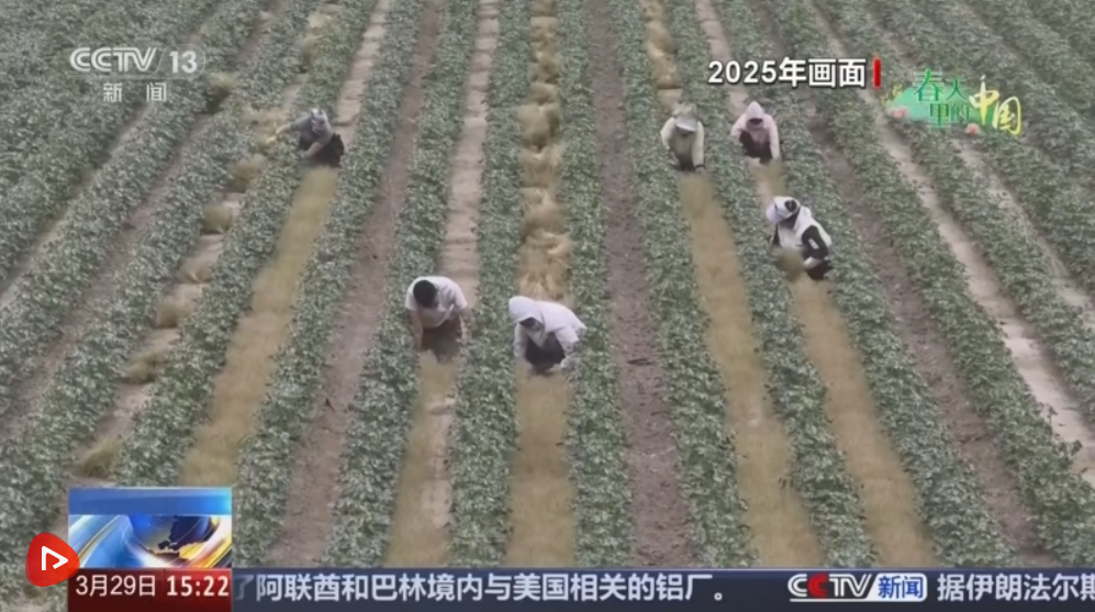 848268430074981 ScreenShot_2026-03-30_101110_026.png