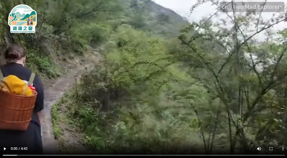 5060759834668028 4c2698b9-9426-42a9-9b6f-62c262782b64.png