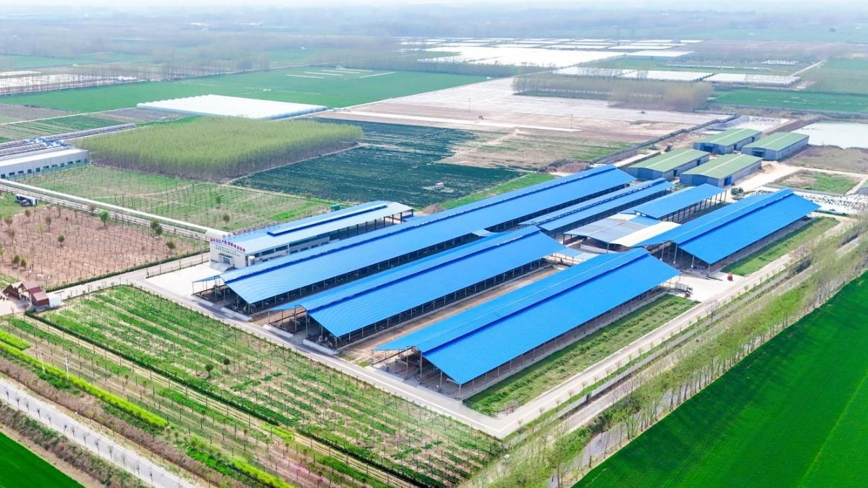 4746176555785896 图片2.png