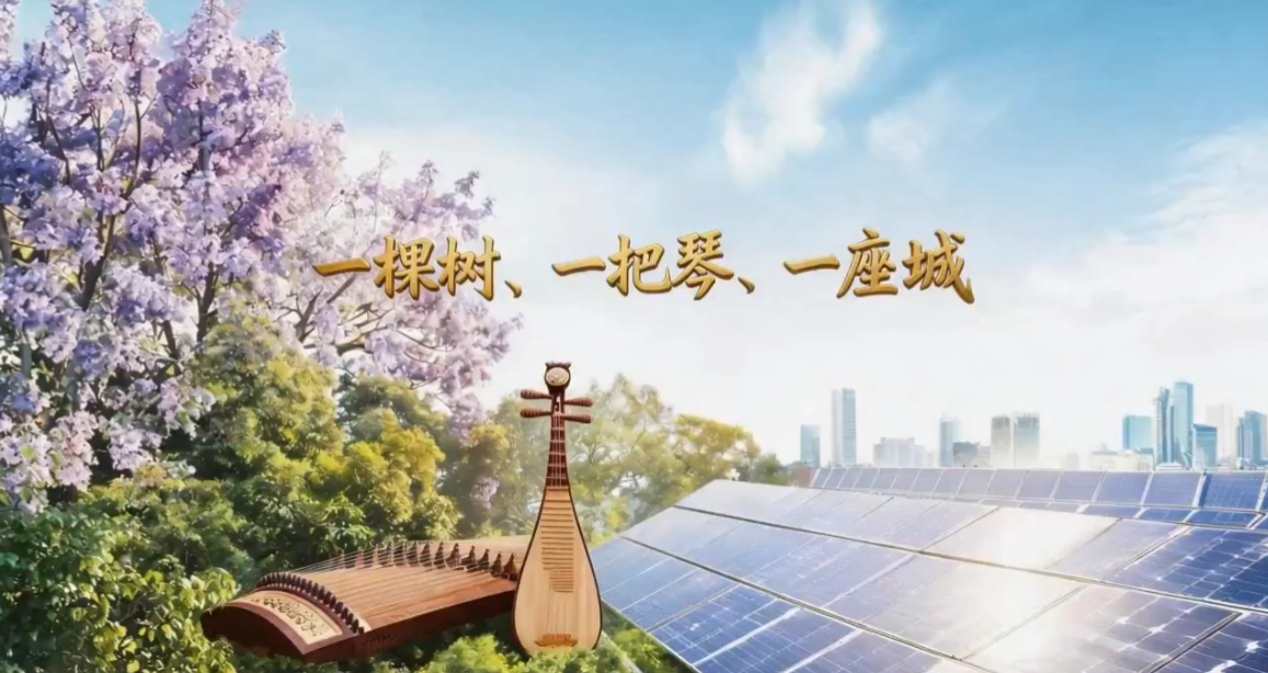 一棵树、一把琴、一座城｜万千气象看河南