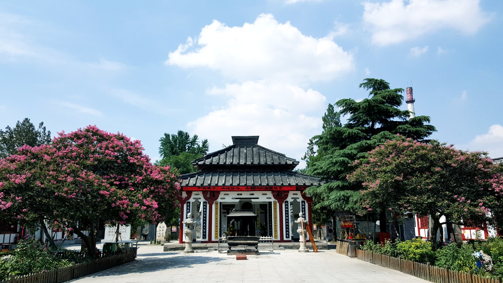 一座祠 一张方 一个梦 刘海燕:在医圣故里传承中医药文化-手机大河网