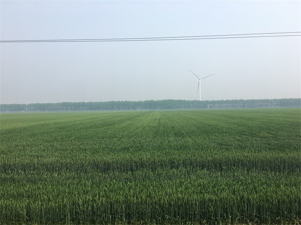 叶面肥配方类型及功能详解(果断收藏)(图1)