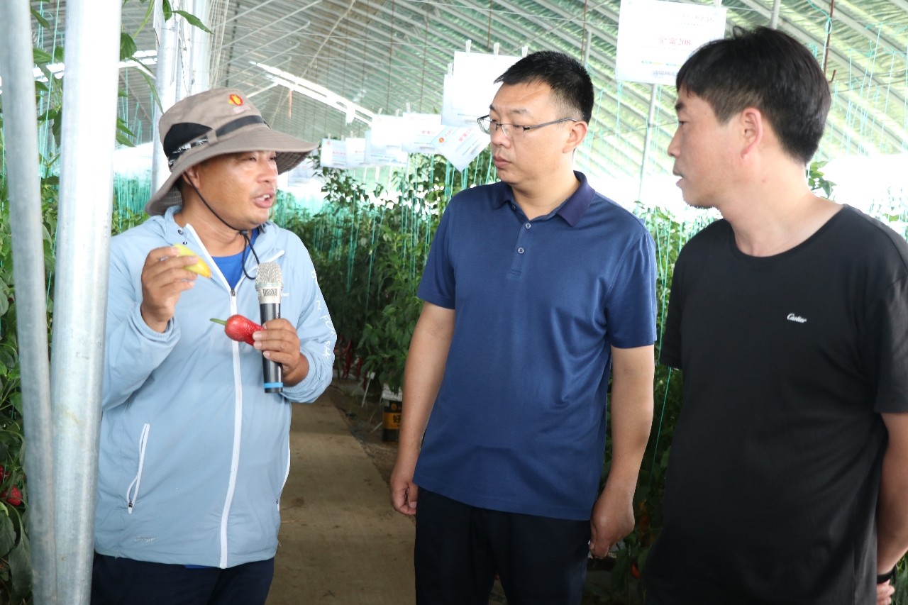 武陟县北郭乡：产业观摩促提升 党建引领谋发展