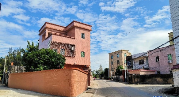 凝聚合力：河南乡村建设的多元参与和长效探索