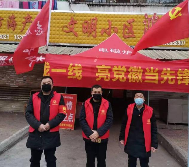 南阳8