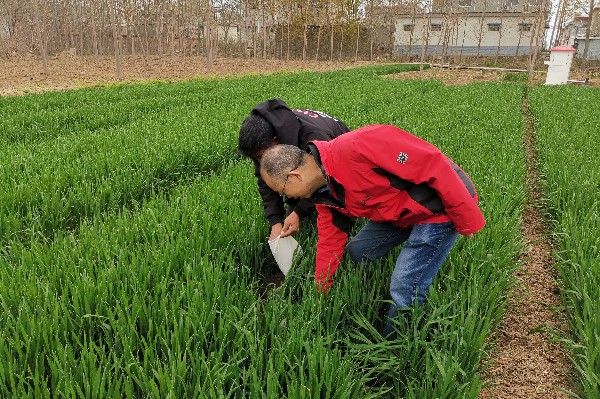 淇縣富硒土壤