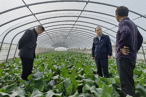 省委改革办到大岗村开展定点帮扶活动4