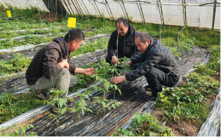 1976900111830885 1976900111830885