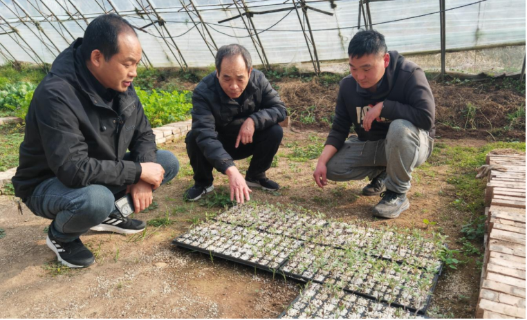 726779412924123 726779412924123