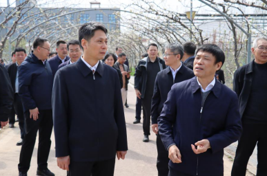 40528863151578475 image.png