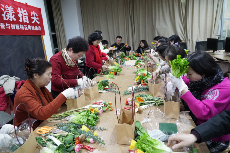 3.绿意蔬菜22.png