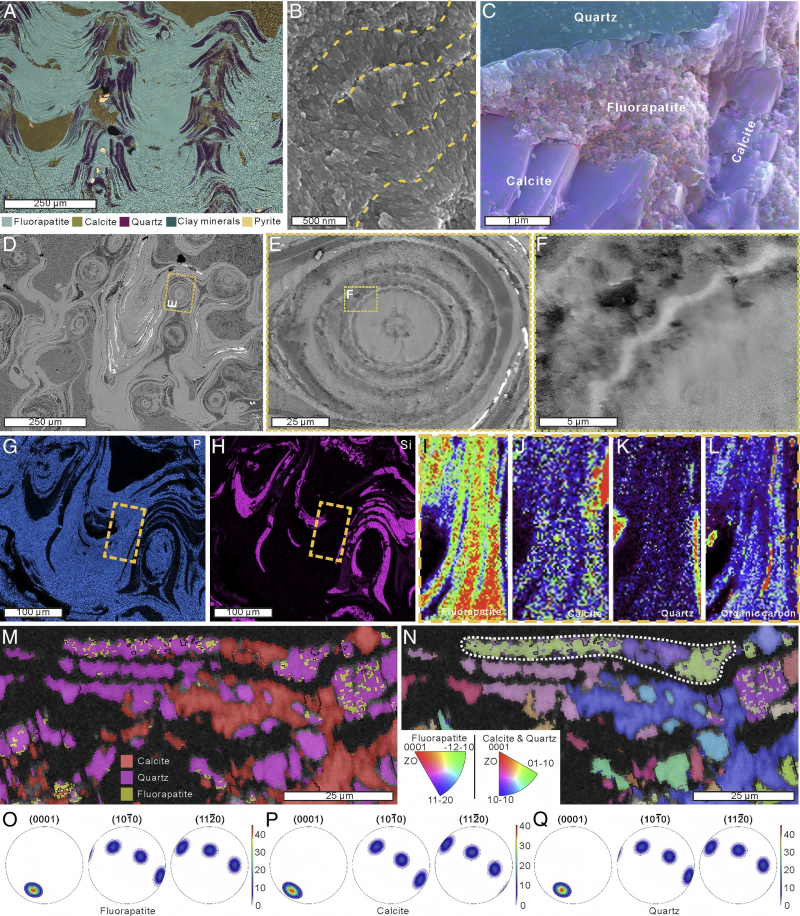 W020250402327646425804(1).png