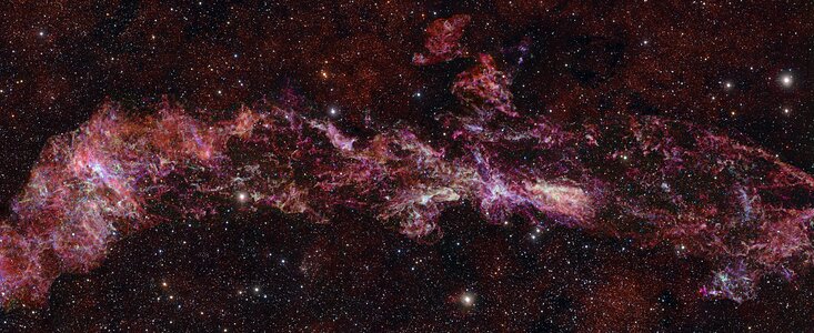 5228232328373222 W020260226376042215122.jpg