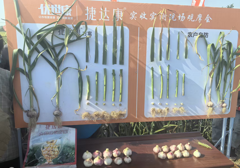 封丘县成功举办第三届大蒜产业技术交流会33.png