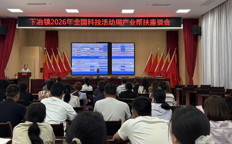 81624924874653925 图片4_副本.png