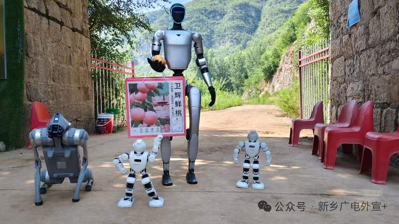 科普润太行 桃香助振兴——卫辉全域科普赋能农旅融合 夯实和美乡村发展根基11.png