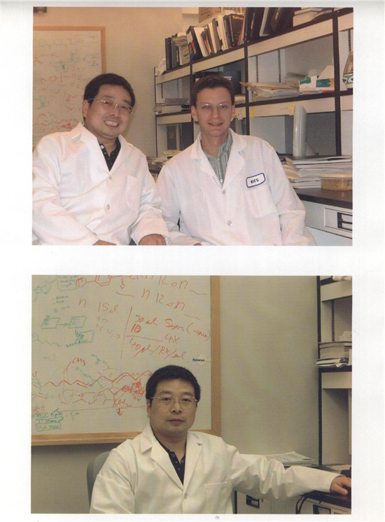 郑州大学副校长、博士研究生导师常俊标
