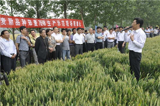 河南省农业科学院小麦研究所所长许为钢