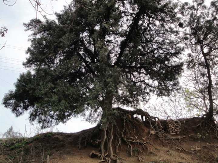 4228285463303571 图片3.jpg