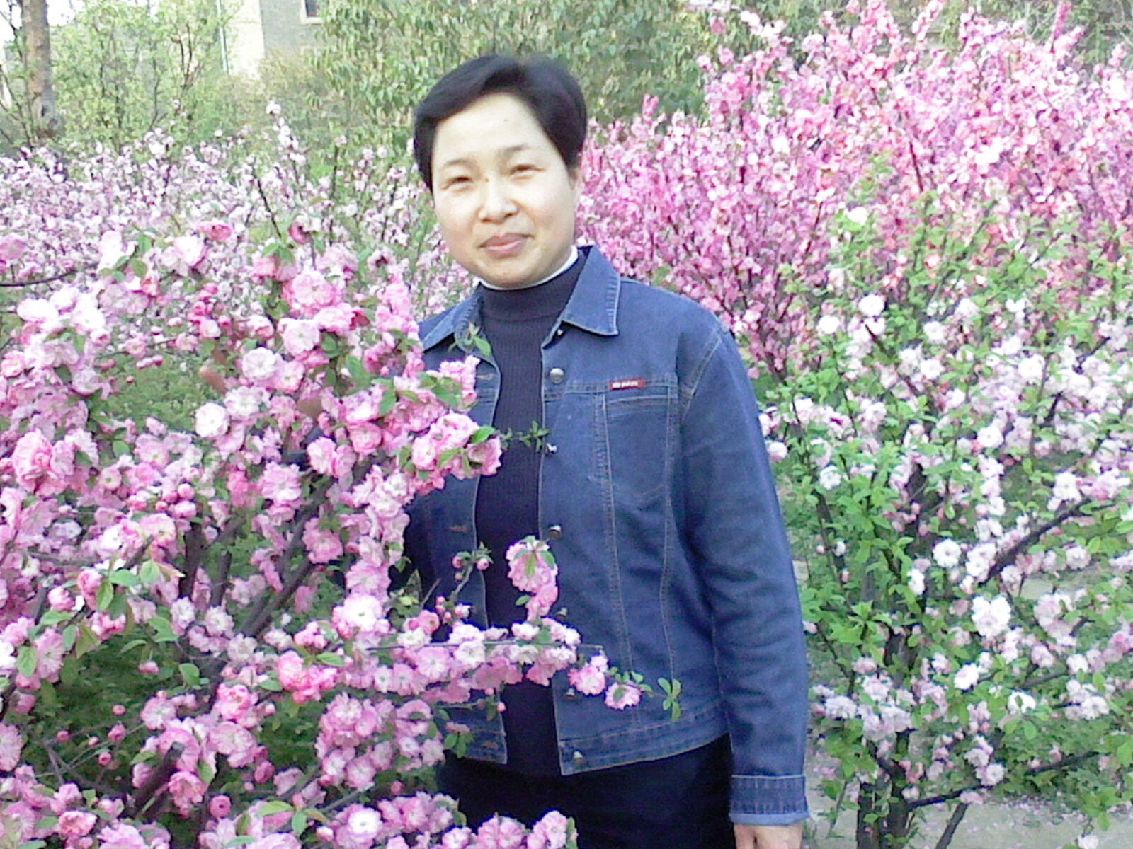 耿淑.jpg