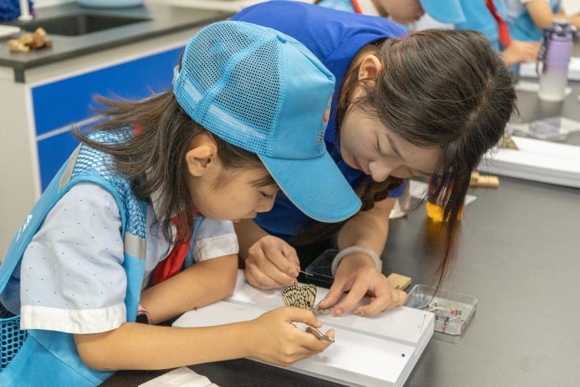 “与虫为邻”团队志愿者在指导小学生制作昆虫标本