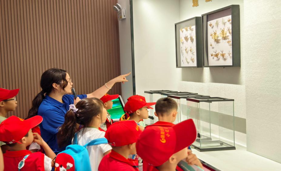 “与虫为邻”团队志愿者在给小学生讲解昆虫知识