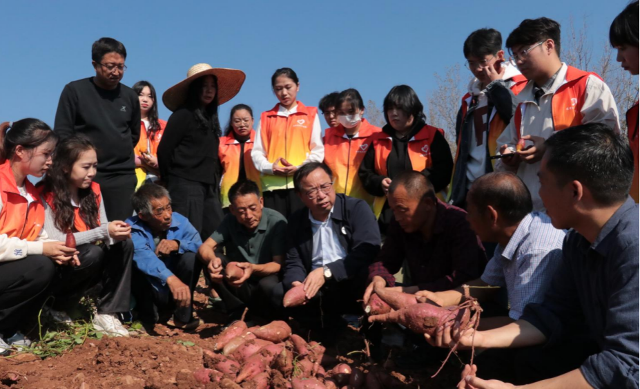 “心有所薯”团队志愿者在和种植户交流甘薯种植技术