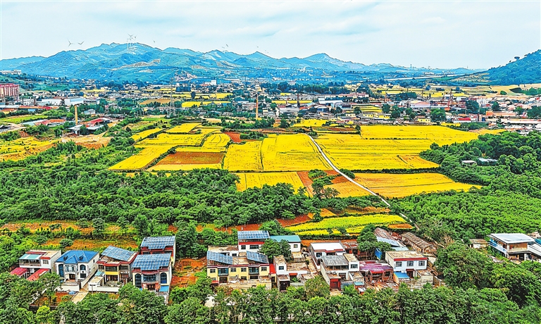 ...