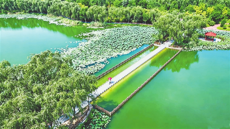 南湖公园尽显秀美风光