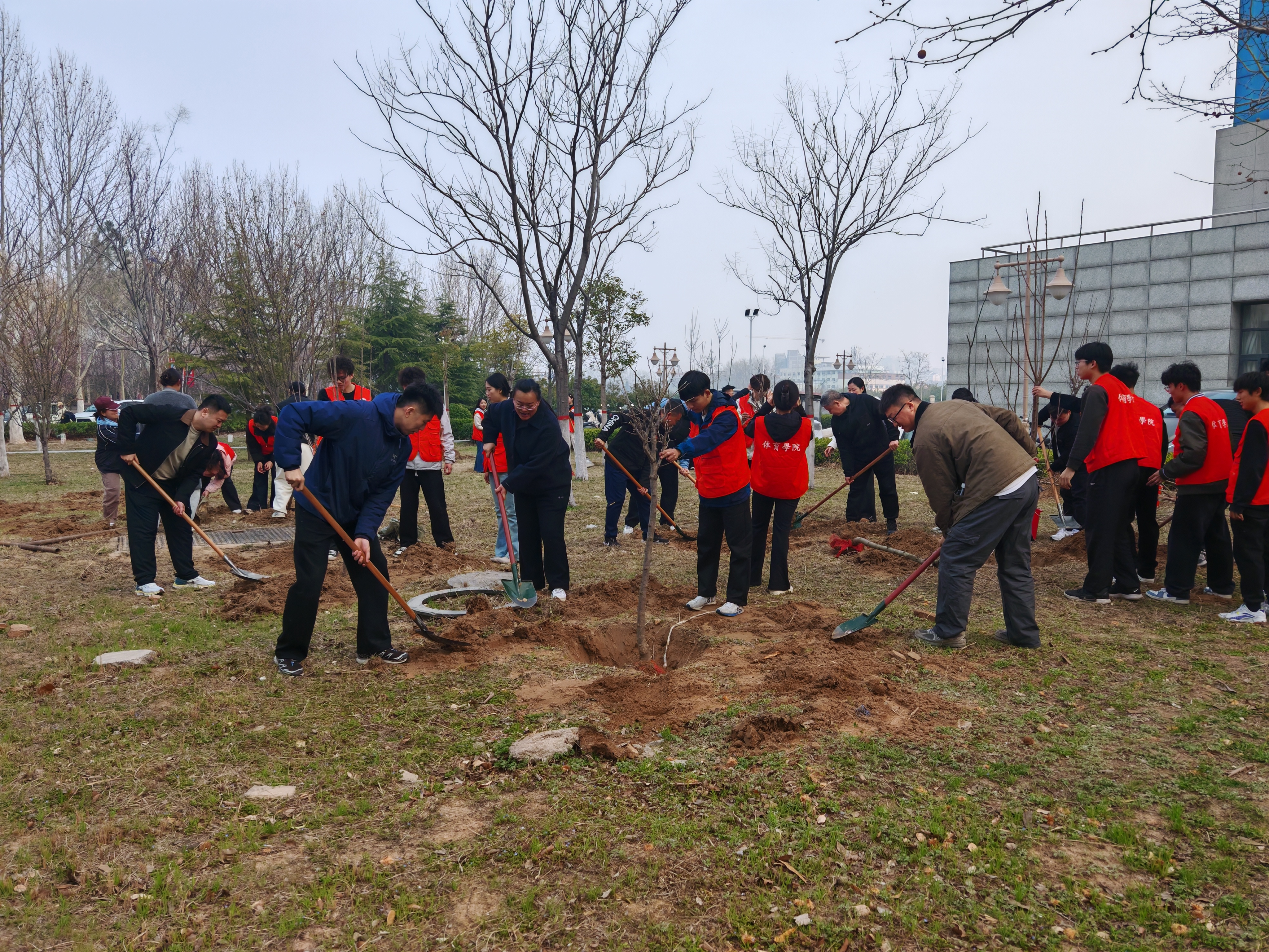 体院20260312植树节 (6)