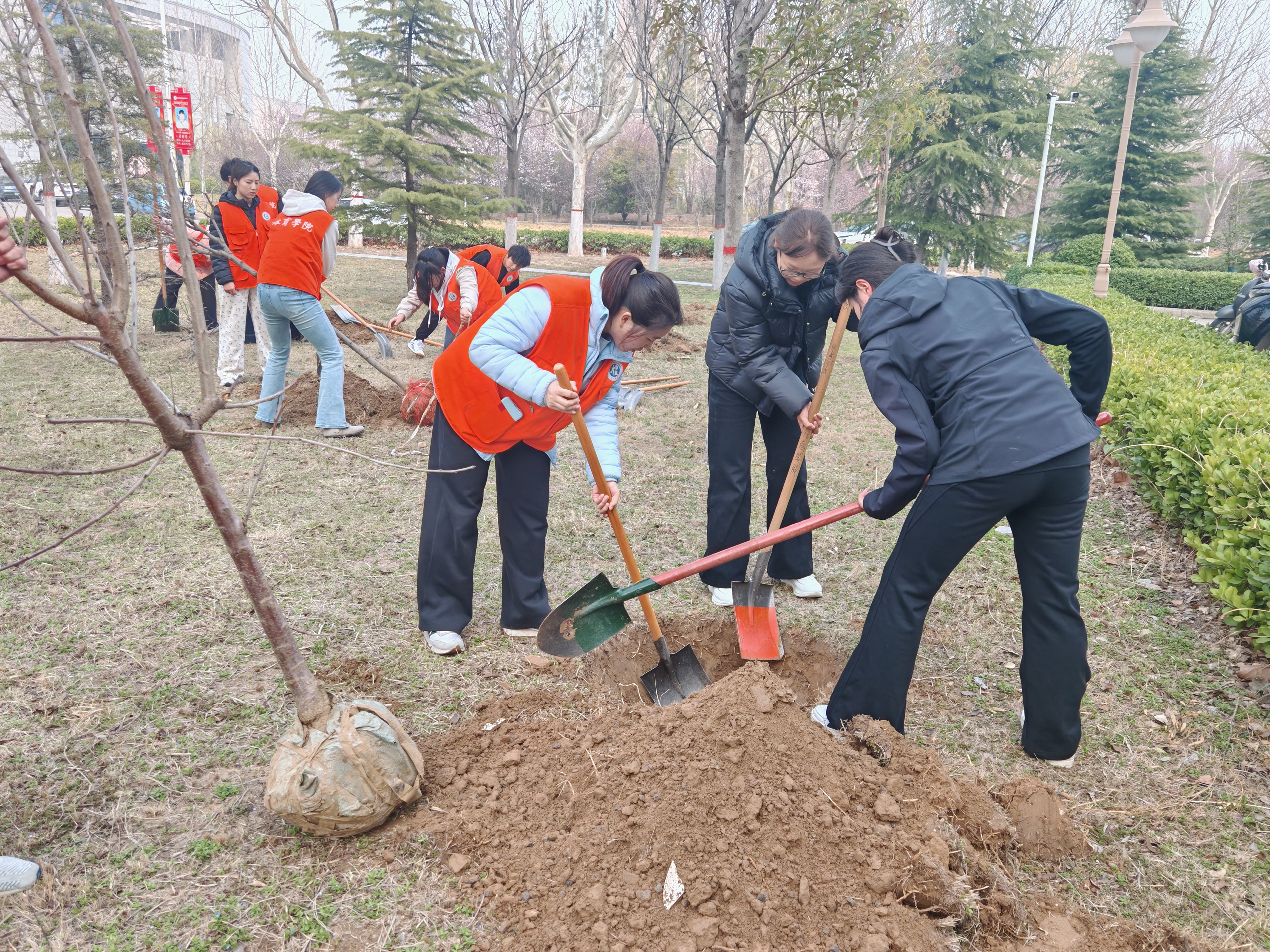 体院20260312植树节 (5)